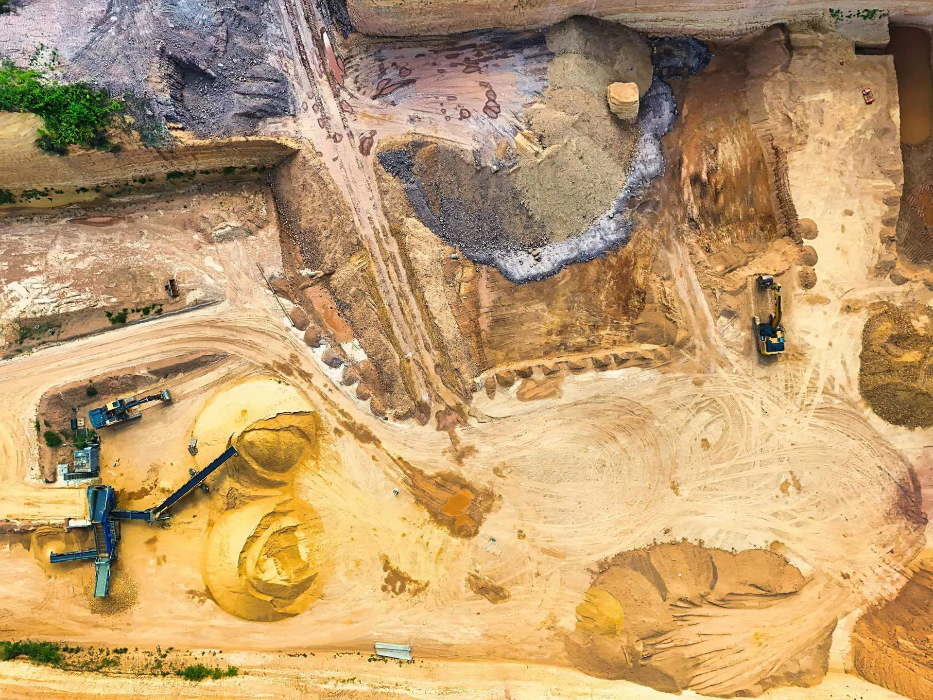 OFO Borneo projects