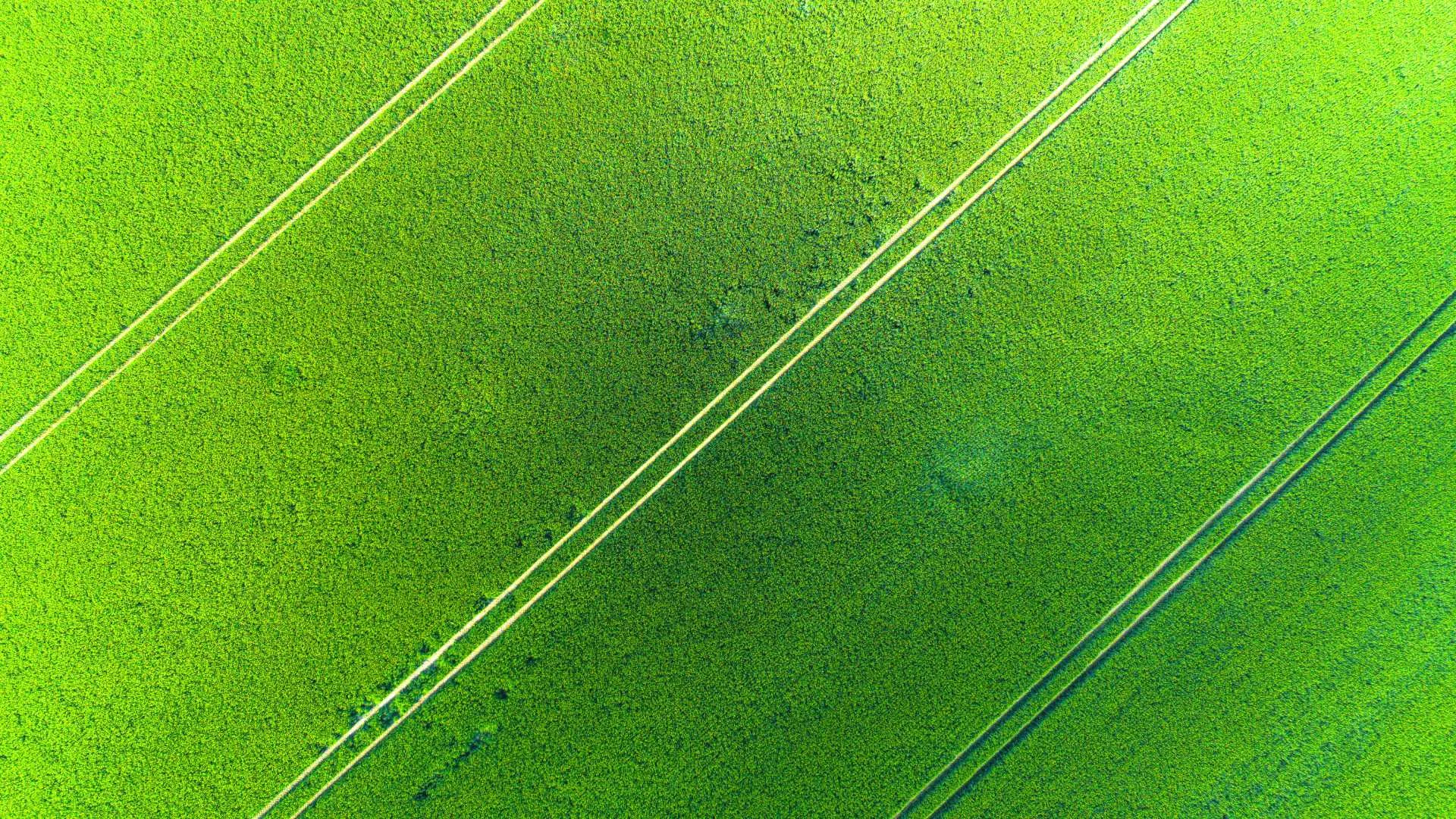 2D Mapping Service 6